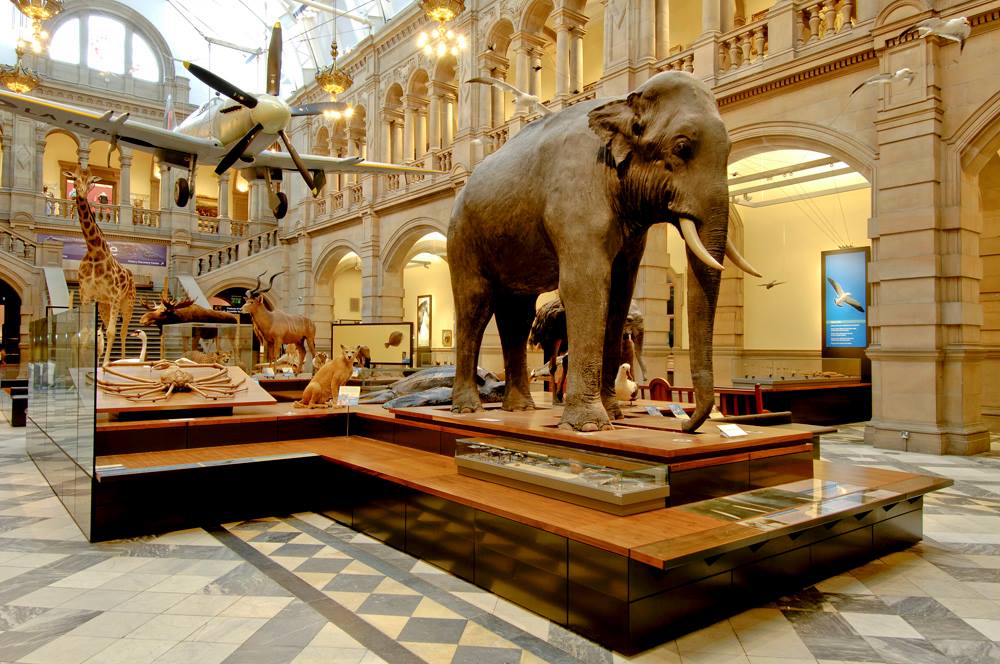 Kelvingrove Art Gallery And Museum Museu MS   7119302c5e084bc5816fb8892570ba6e 